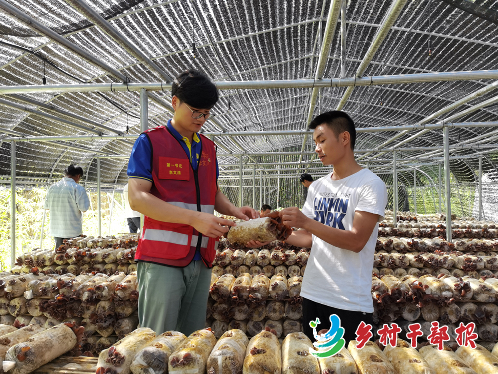 李文濤（左）調研木耳產業(yè)2.jpg